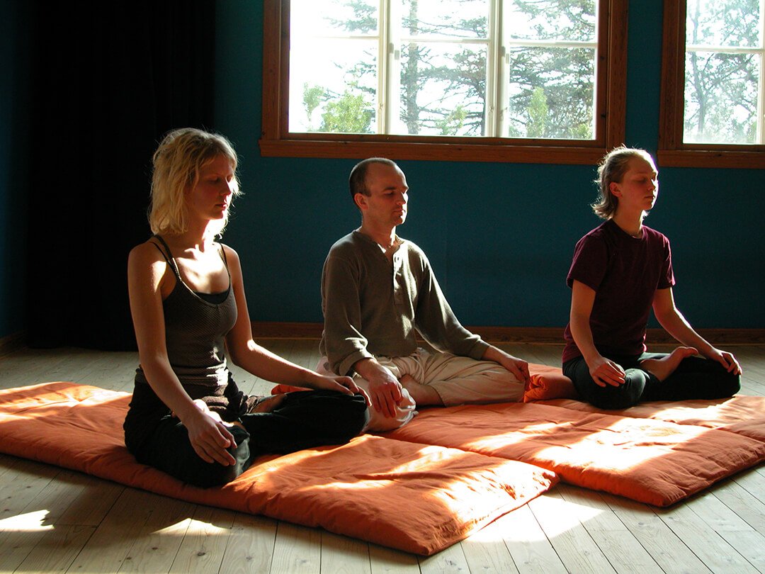Yoga Asana, Pranayama and Meditation - Dragn Yoga