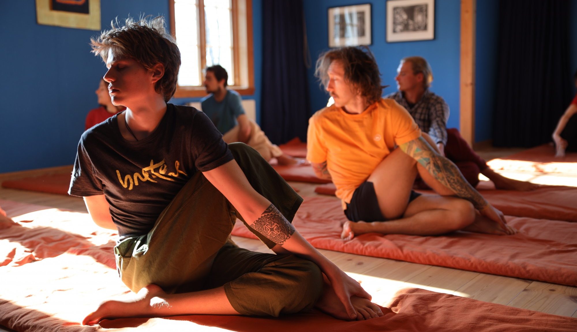 Online yoga Scandinavian Yoga & Meditation School